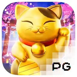 kfcp-yy: Lucky Neko